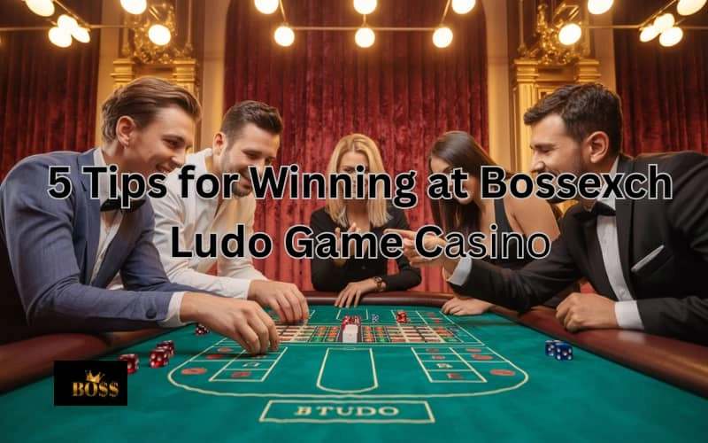 ludo game casino